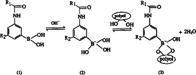 Modified humic acid degradation product, preparation method and composition patch thereof