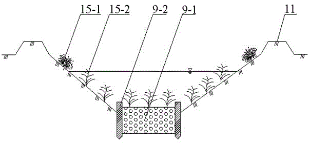 Self-circulated and ecological water saving type irrigating draining system and draining method