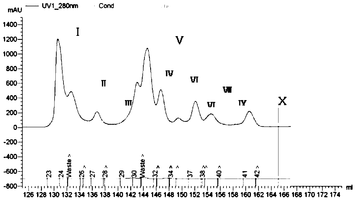 Cowpea heme iron binding protein as well as preparation method and application thereof