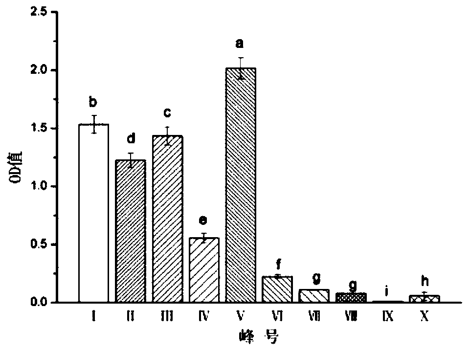 Cowpea heme iron binding protein as well as preparation method and application thereof