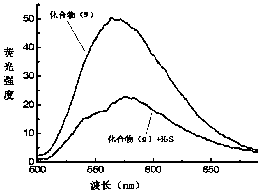 A kind of nbd-organic amine fluorescent probe and its preparation method and application