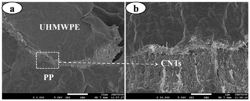 A method for preparing conductive polymer composite material with isolation structure