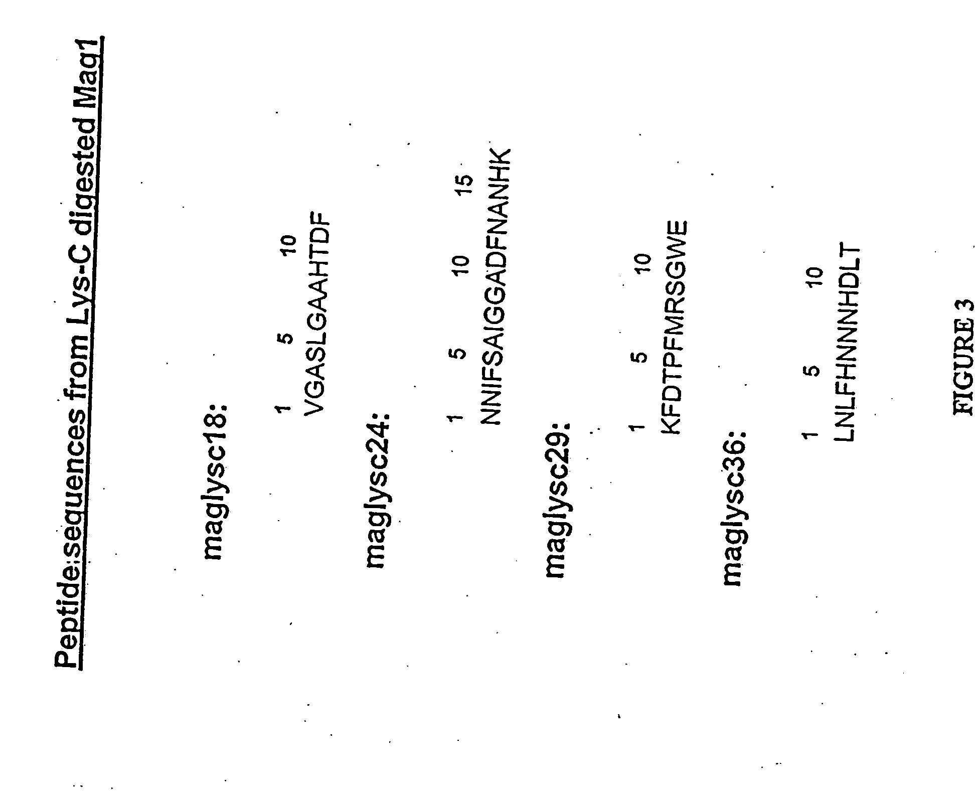 Fus6 family antimicrobial polypeptides and their uses