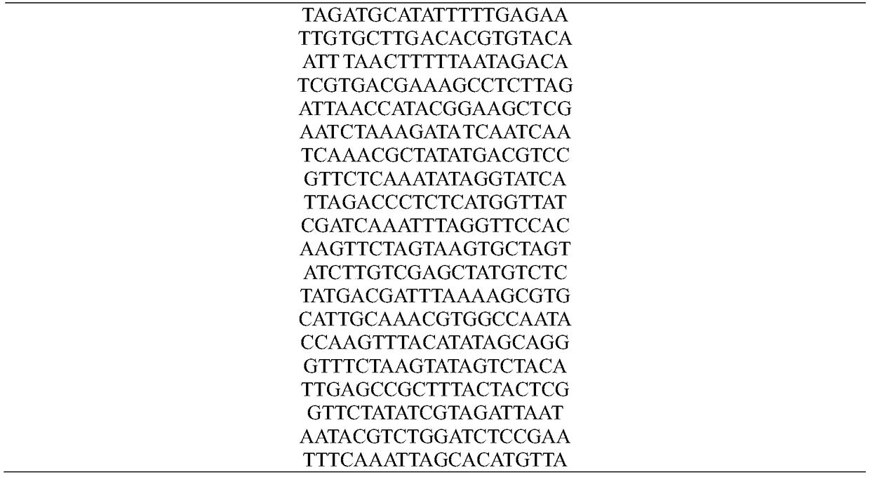 DNA coding sequence optimization method based on hybrid bat algorithm with non-dominated sorting