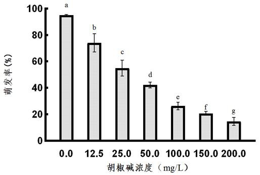 Application of piperine in preparation of bacteriostatic agent for preventing and treating tomato pathogenic bacteria