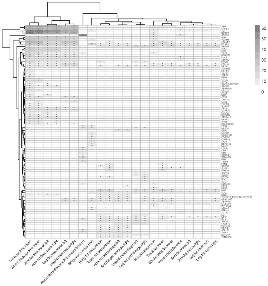 Method for integrating and analyzing plasma proteome, genome and obesity related traits