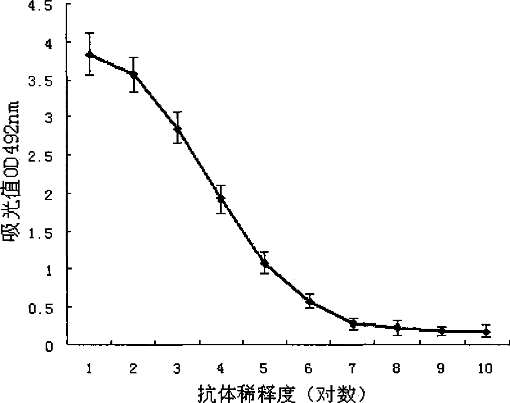 Method for detecting Beta accompany glycinin and specific antibody and reagent kit thereof