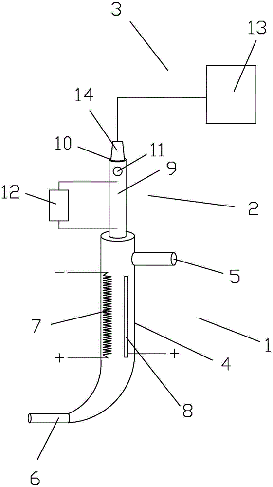 Small and portable heavy metal detection device and detection method