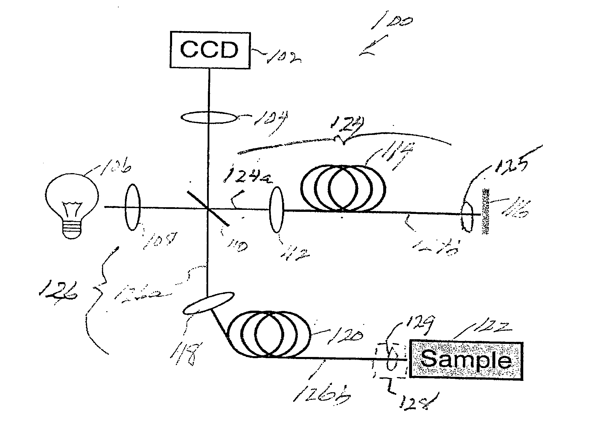 Systems and methods for generating data using one or more endoscopic microscopy techniques