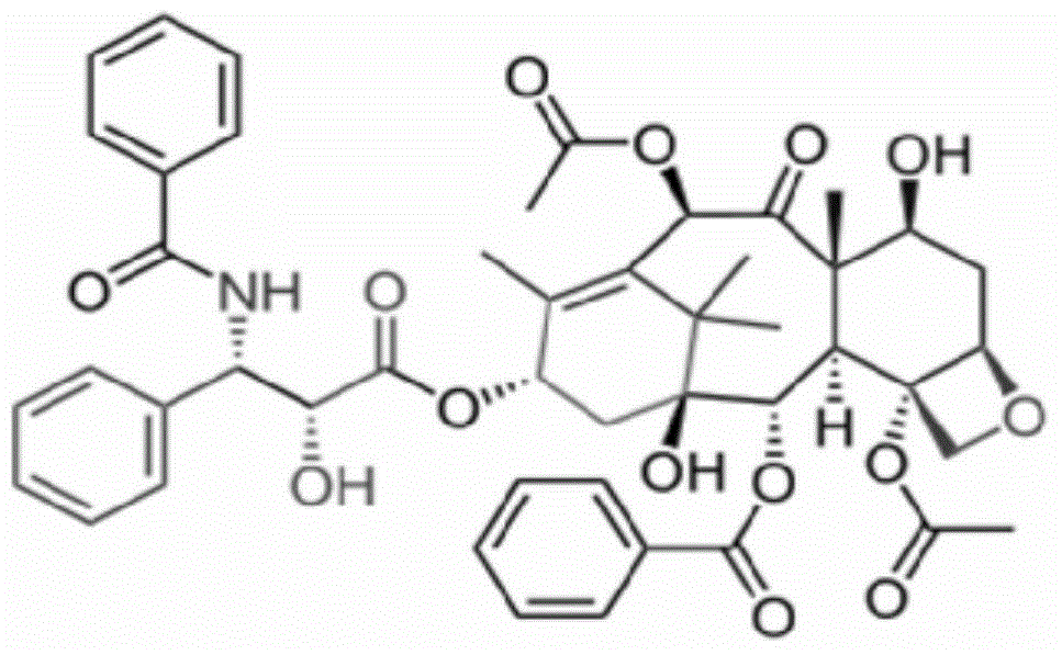 Taxol freeze-dried powder preparation containing excipient and preparation method of taxol freeze-dried powder preparation