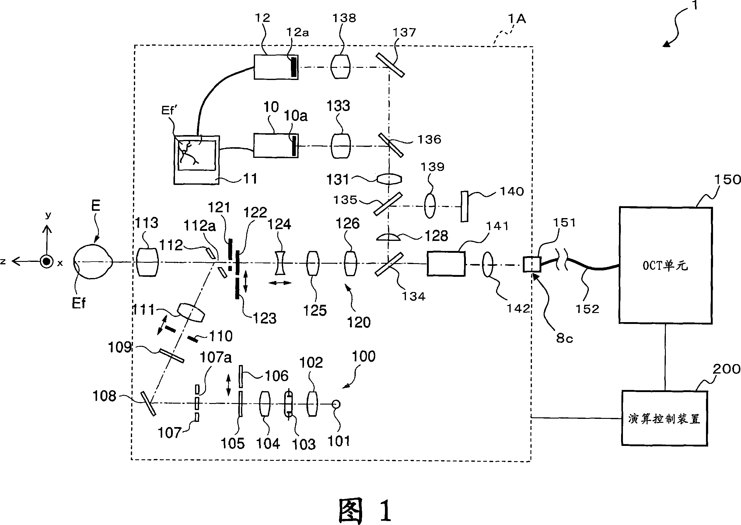 Ocular fundus observing device