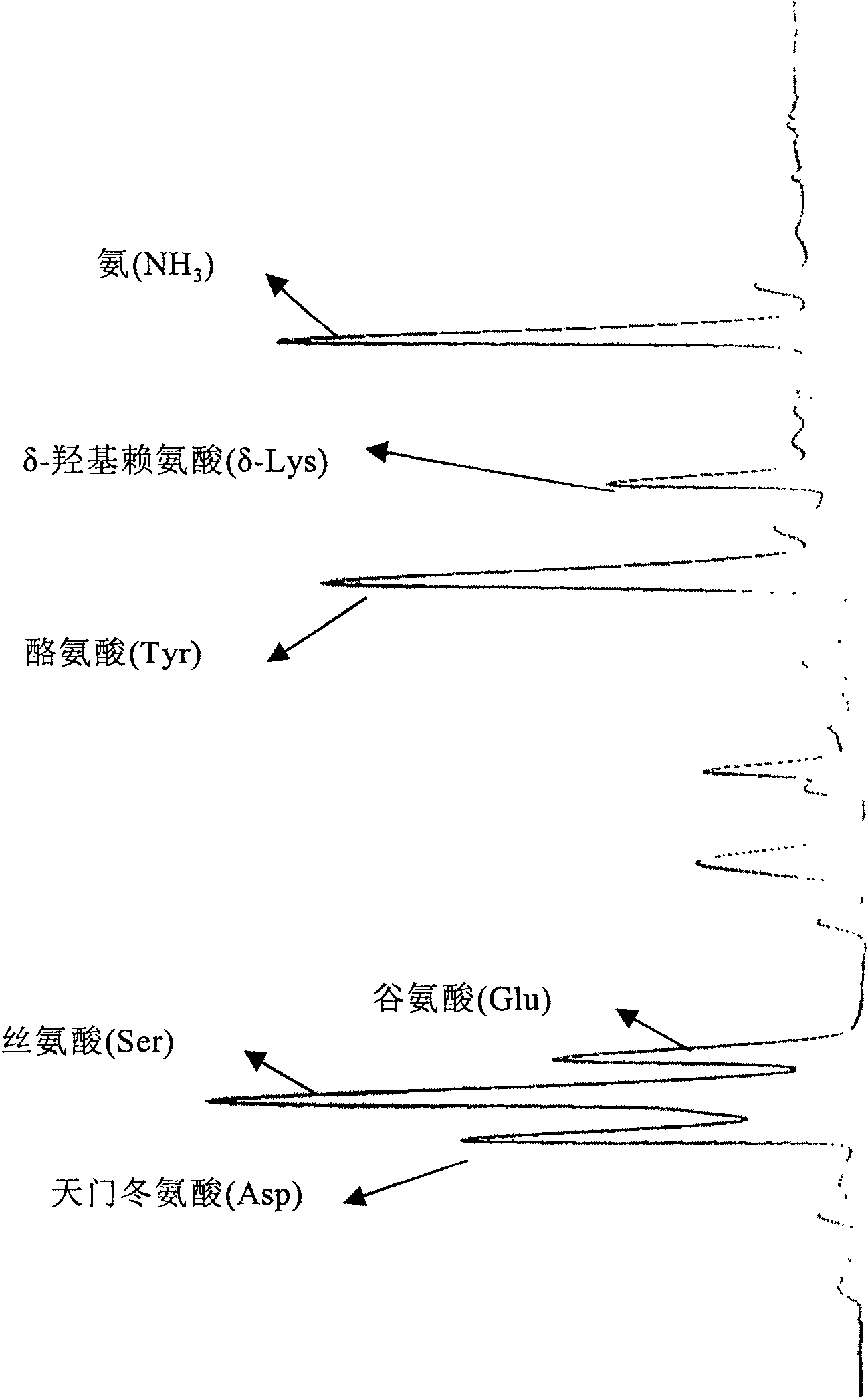 Bamboo shoots amino acid peptide extract its production and use