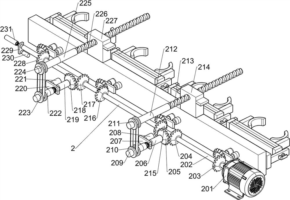 Greenhouse transplanting device for nandina domestica seedlings