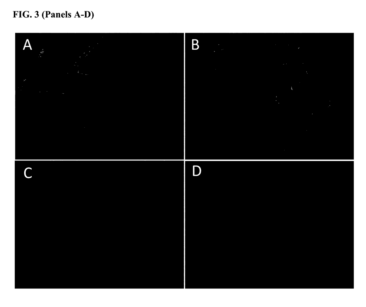 Detection of traumatic brain injury