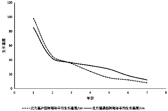 North-pear high-yield cultivation method