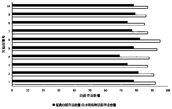 North-pear high-yield cultivation method