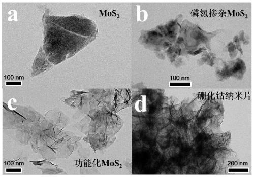 Preparation method of functionalized modified molybdenum disulfide nanosheet