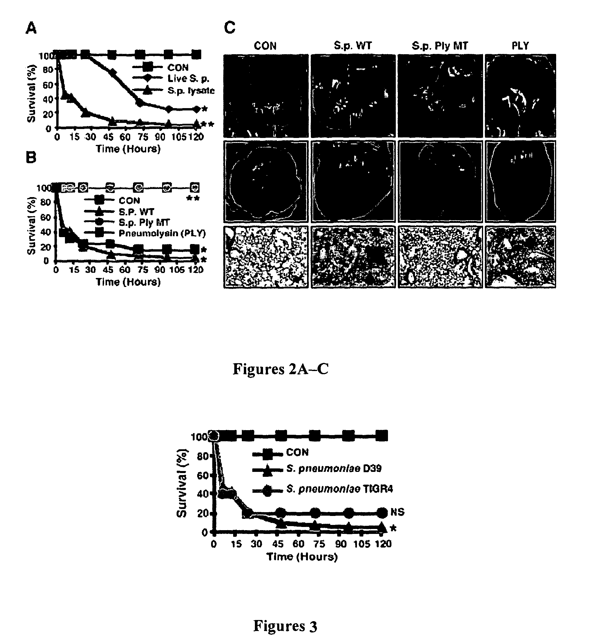 Methods for the treatment or prevention of hemorrhagic conditions