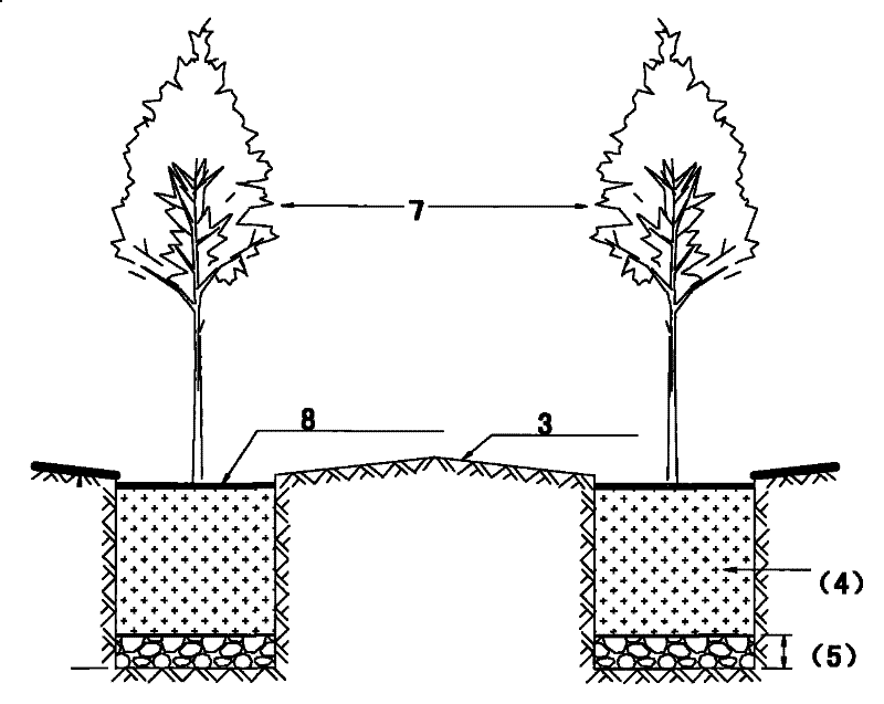 Coast saline-alkali soil forestation method