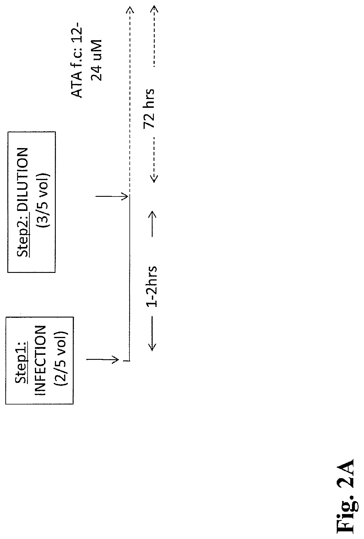 Use of iNOS inhibitors to increase viral yield in culture