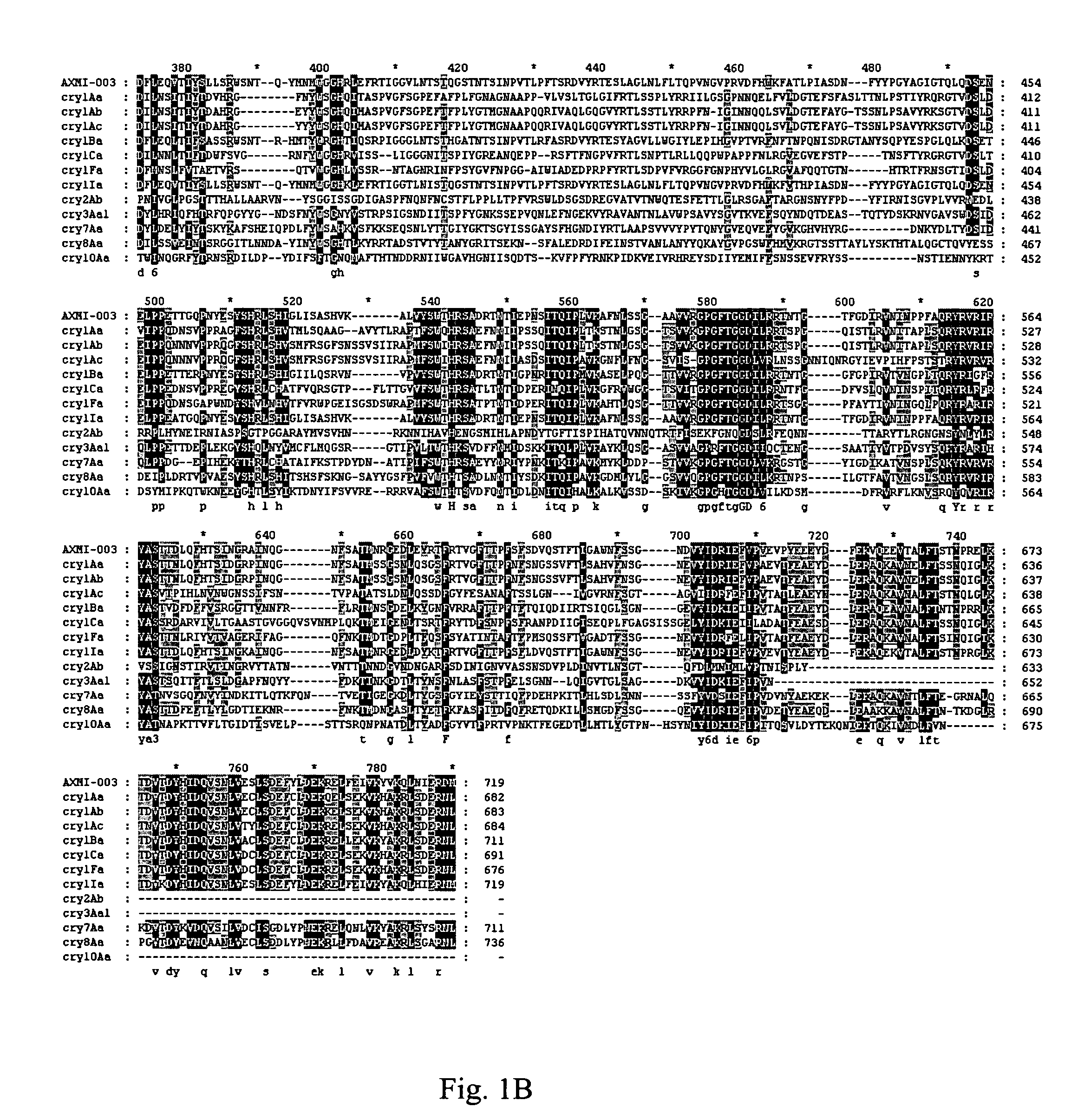 AXMI-003, a delta-endotoxin gene and methods for its use