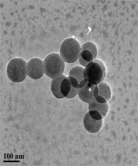 Method for preparing polymer-zinc oxide nano composite microspheres