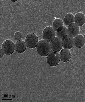 Method for preparing polymer-zinc oxide nano composite microspheres