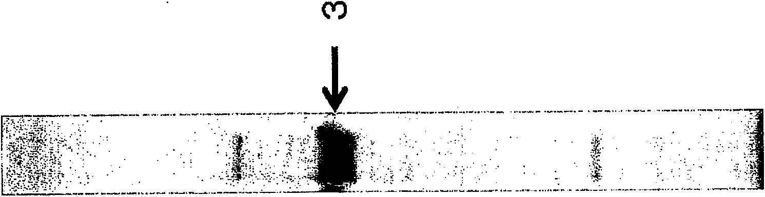 Cancer detection method