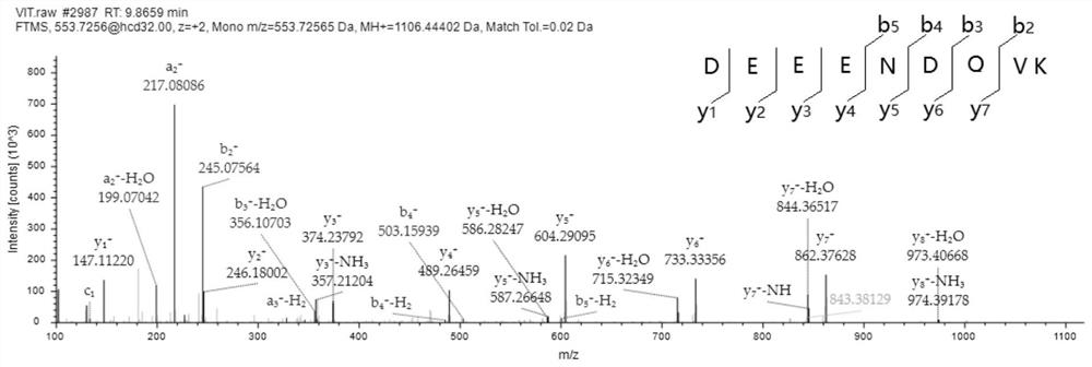 Phosvitin-derived calcium chelating peptide, and peptide calcium chelate and application thereof, as well as application of peptide calcium chelate