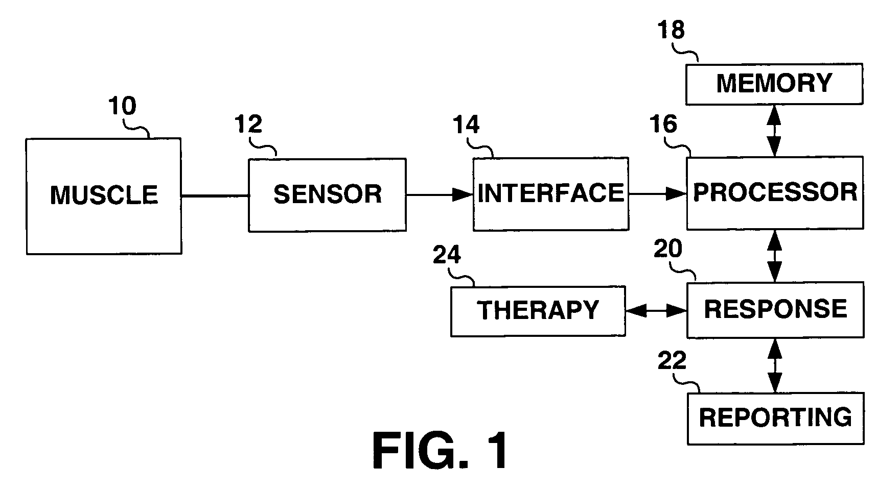 Method and apparatus for muscle function measurement