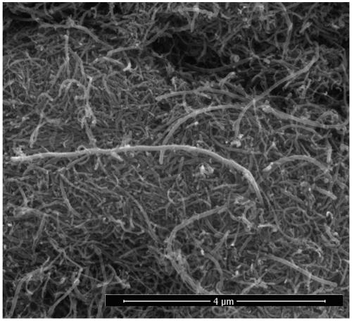 A kind of preparation method of graphene carbon nanotube composite conductive framework for lithium-sulfur battery