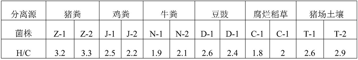 Bacillus subtilis and application thereof