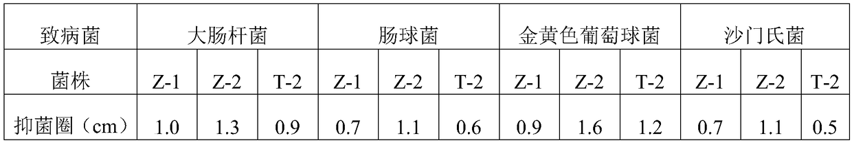 Bacillus subtilis and application thereof