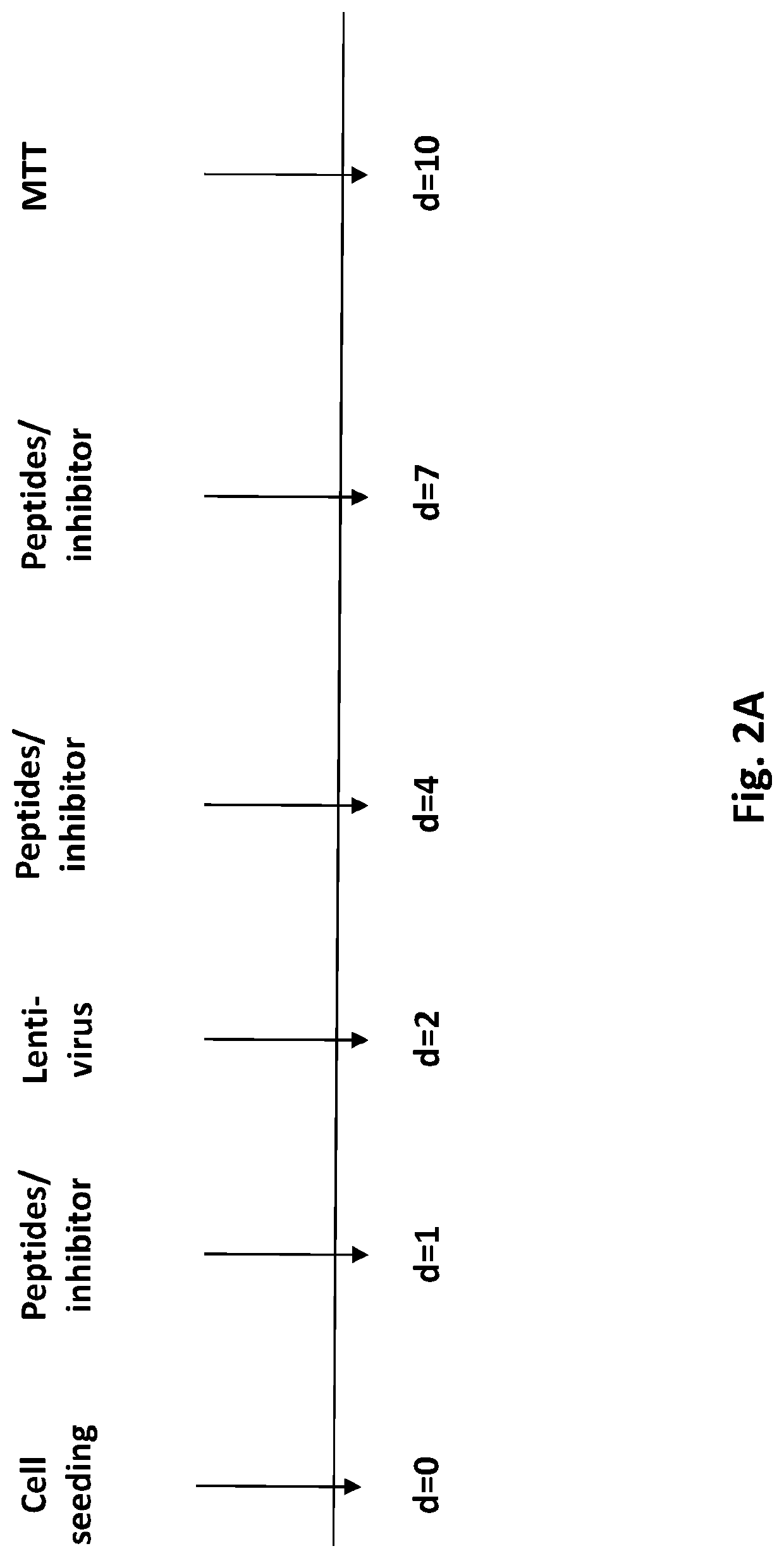 Selective destruction of cells