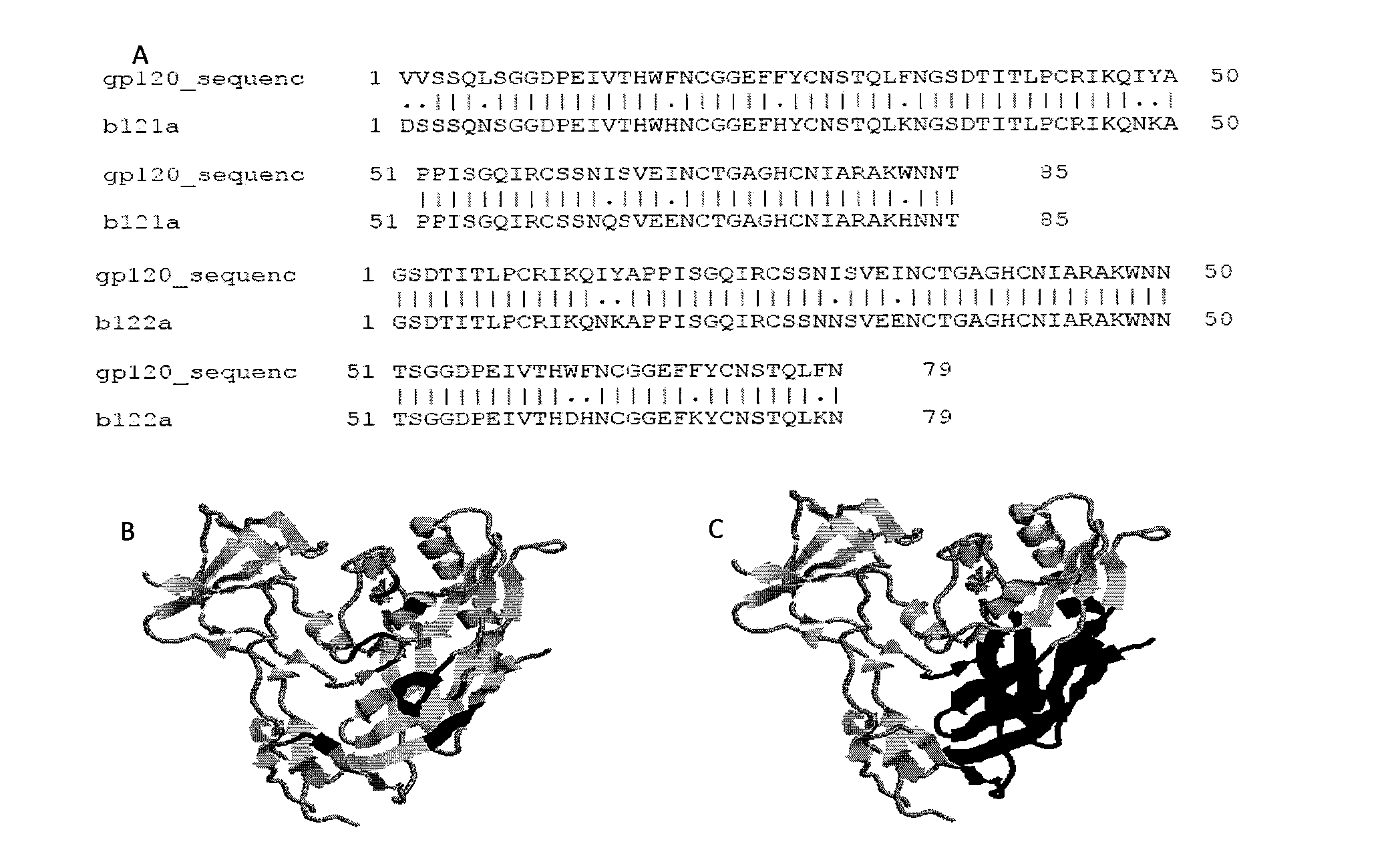 HIV-1 Envelope Based Fragments