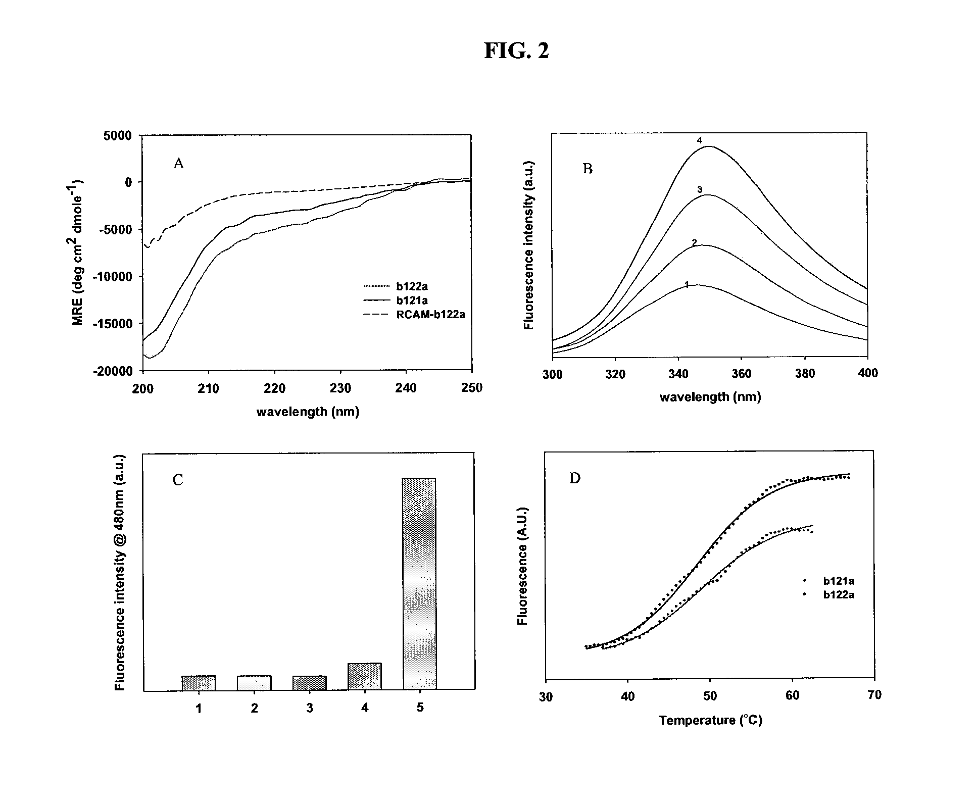 HIV-1 Envelope Based Fragments