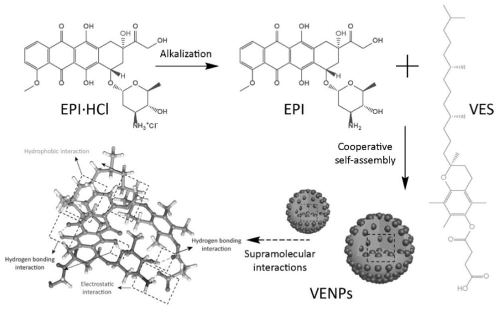 A kind of epirubicin ves compound and preparation method and application thereof