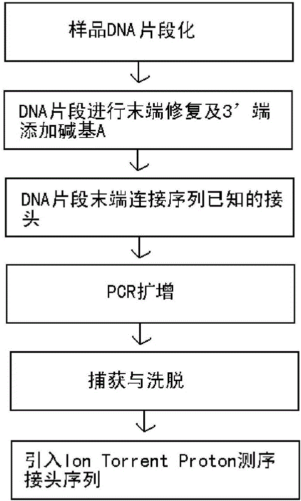 Construction method of fusion gene detection library based on Ion Torrent sequencing platform and fusion gene detection method