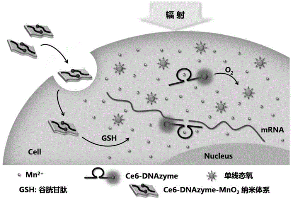 Gene silencing kit and method