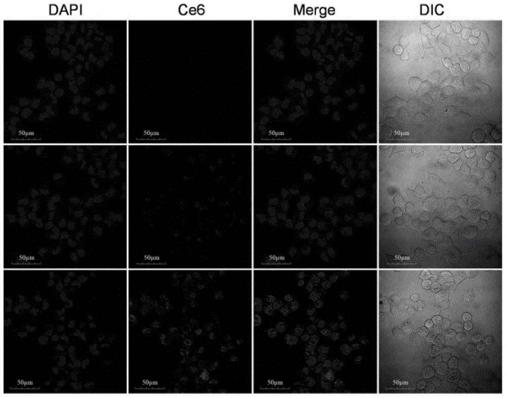 Gene silencing kit and method