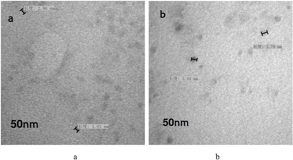 Preparation method and applications of glucosyl modified quantum dot fluorescent probe