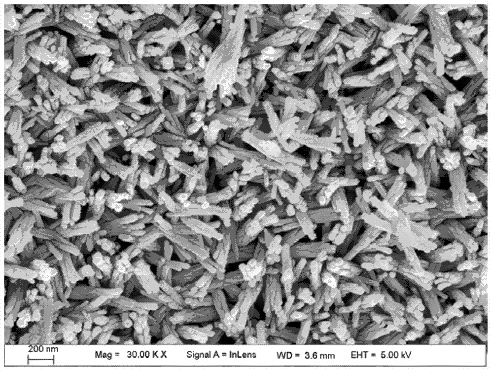 Magnesium-containing hydroxyapatite coating on surface of medical material and preparation method of coating