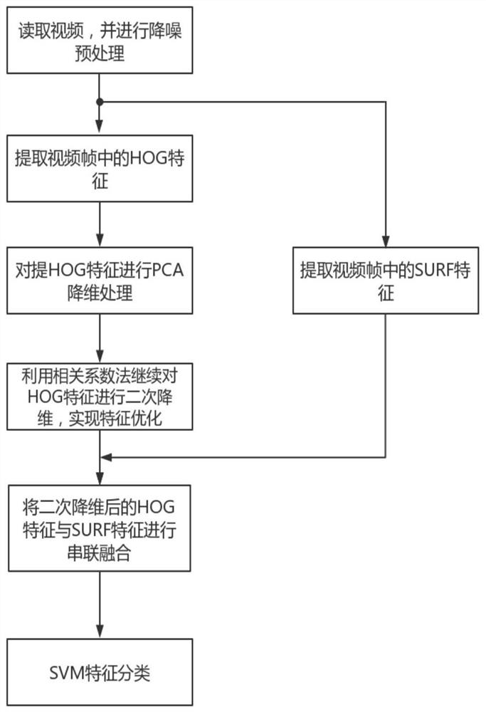 Human behavior recognition method based on feature optimization and multi-feature fusion