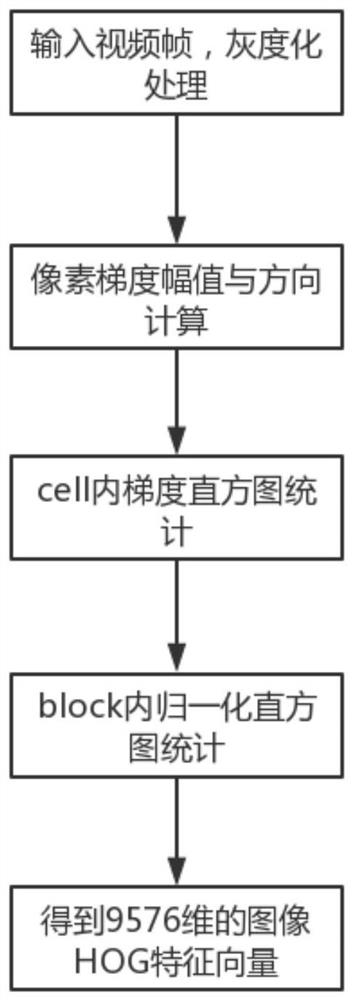 Human behavior recognition method based on feature optimization and multi-feature fusion