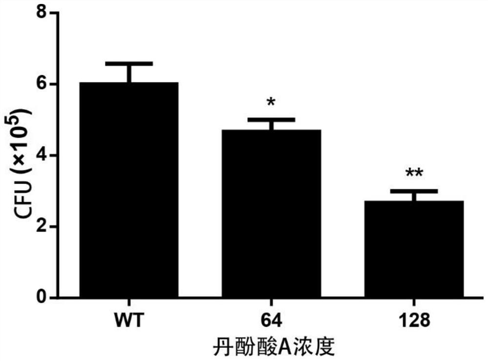 Application of salvianolic acid a in the preparation of medicines for the treatment of pneumonia caused by methicillin-resistant Staphylococcus aureus