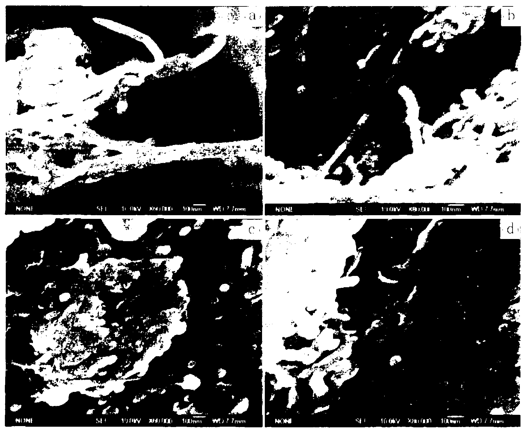 Method for processing field emission cathode