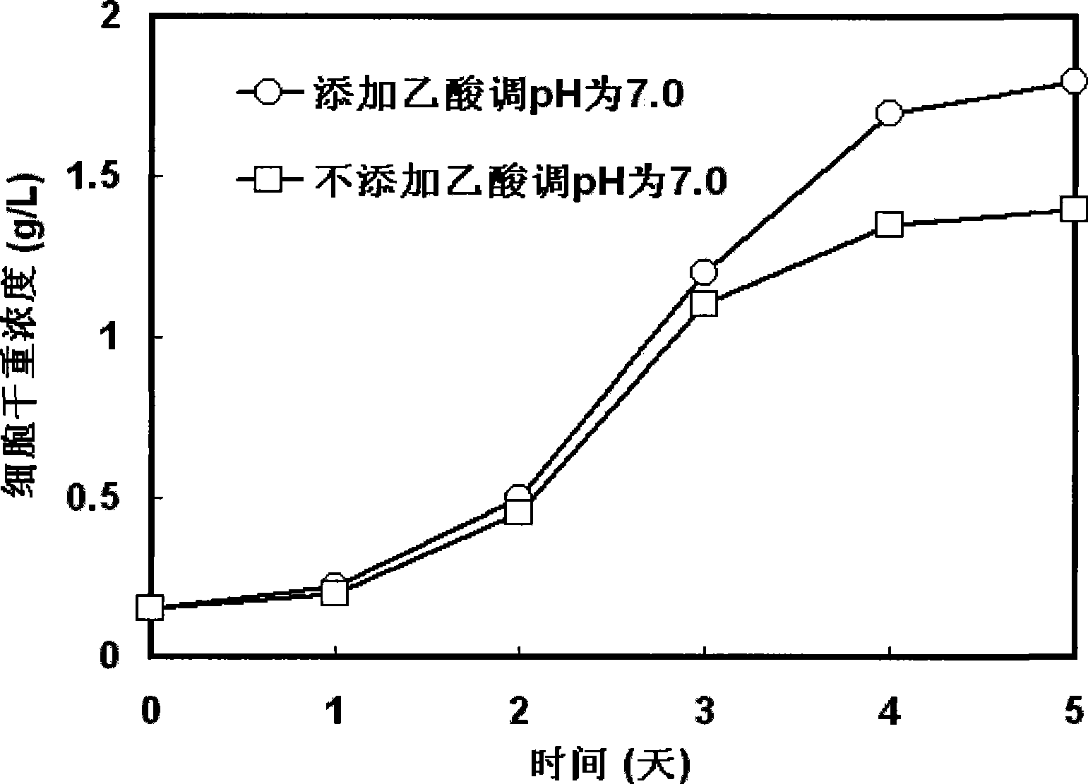 Method for culturing photosynthetic bacteria