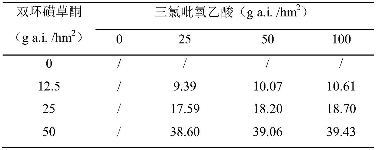 Weeding composition containing triclopyr and benzobicyclon and application thereof