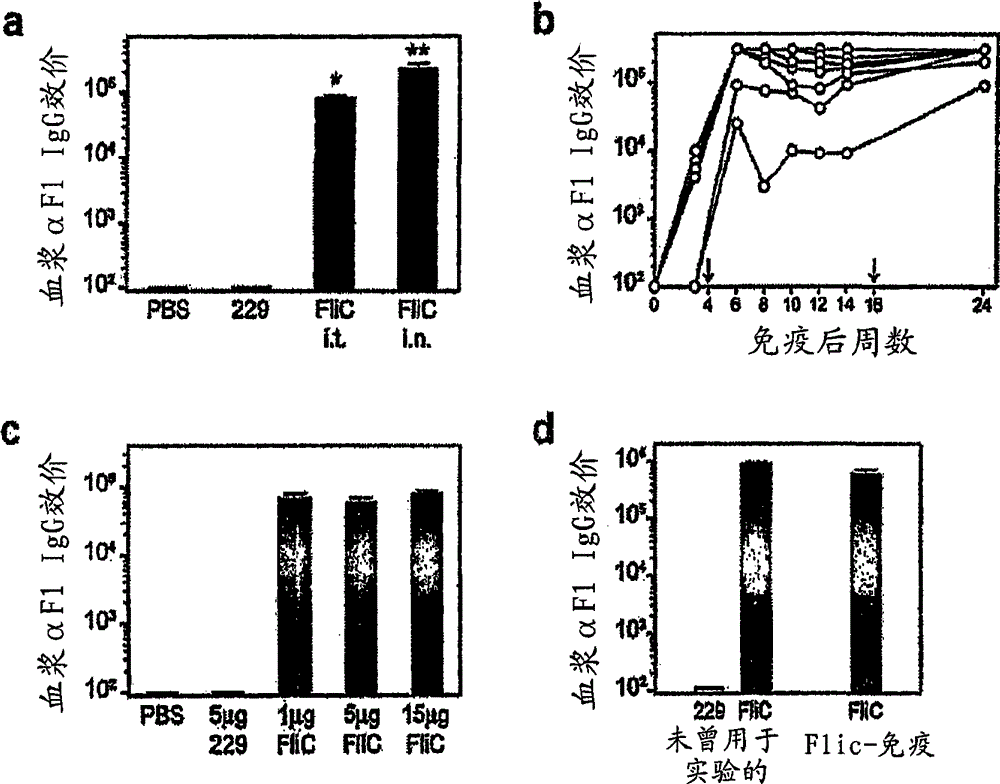 Use of flagellin in immunotherapy of Yersinia pestis