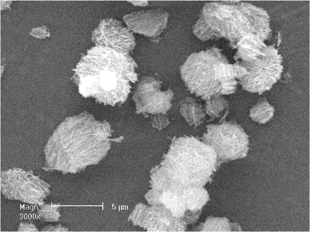 Spherical basic ammonium ferric phosphate powder with large specific surface area and preparation method thereof